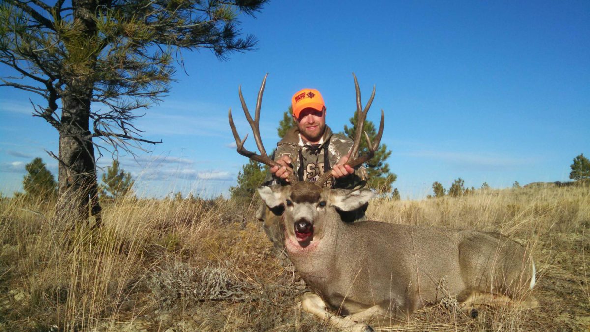 Montana Mule Deer Hunt 10013