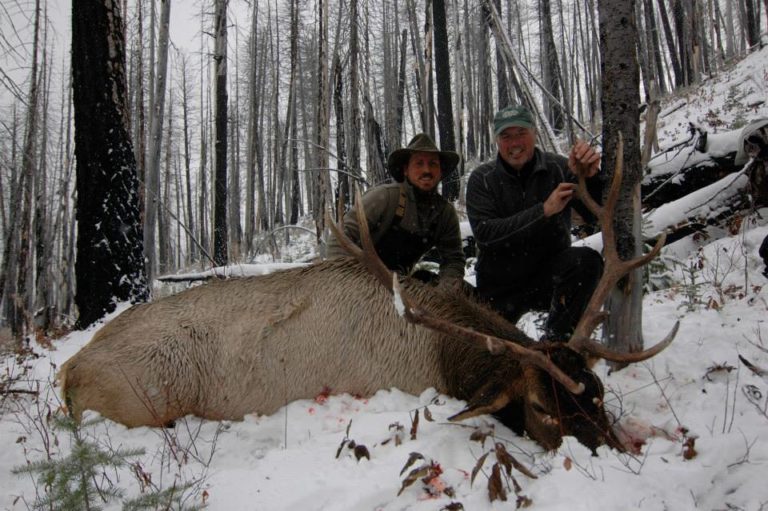 Montana Elk Hunt 10038