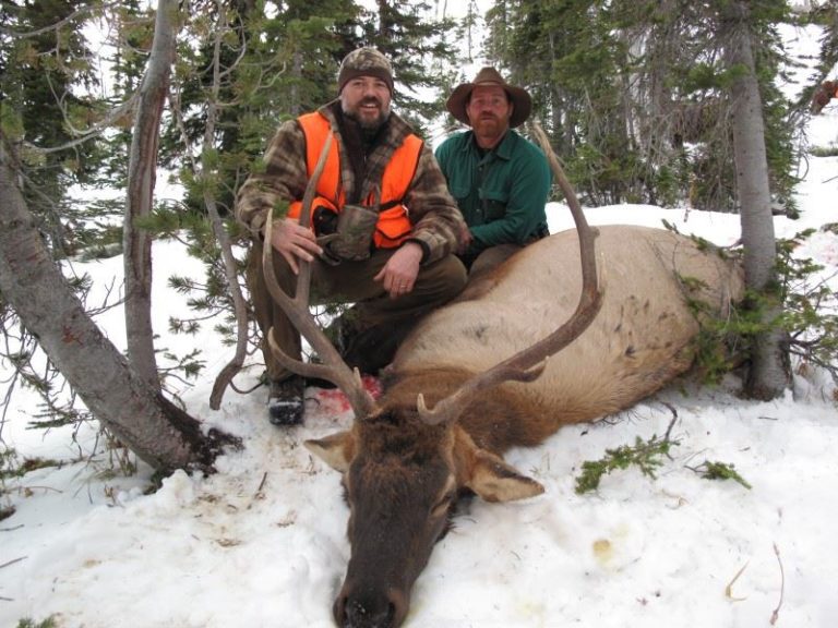 Montana Elk Hunt 10038