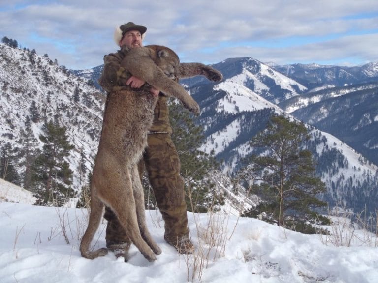 Idaho Mountain Lion Hunt 10057