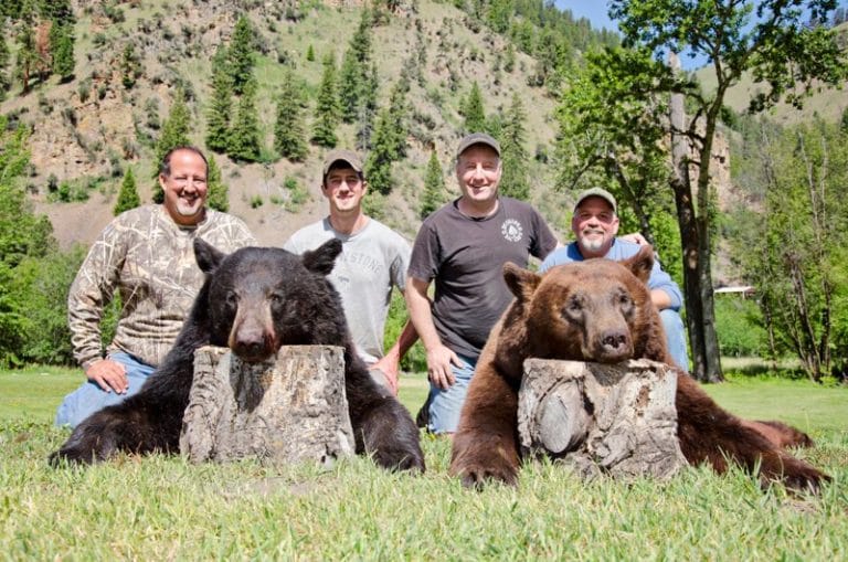 Idaho Black Bear Hunt 10058