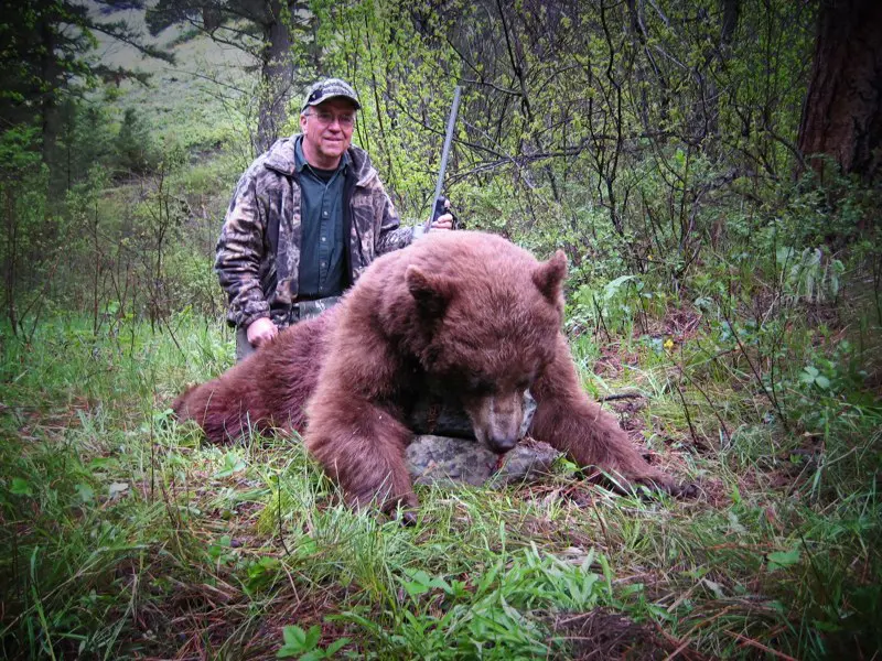 Idaho Black Bear Hunt 10058 - Image 3