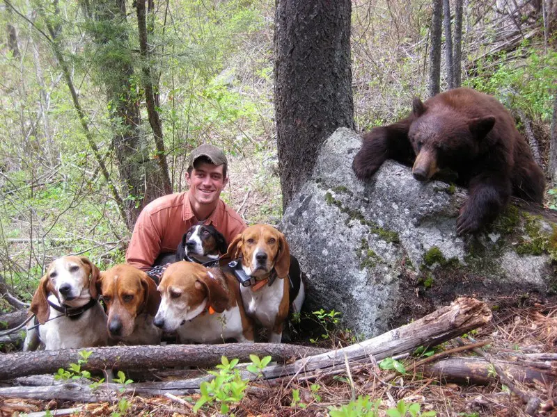 Idaho Black Bear Hunt 10058 - Image 4