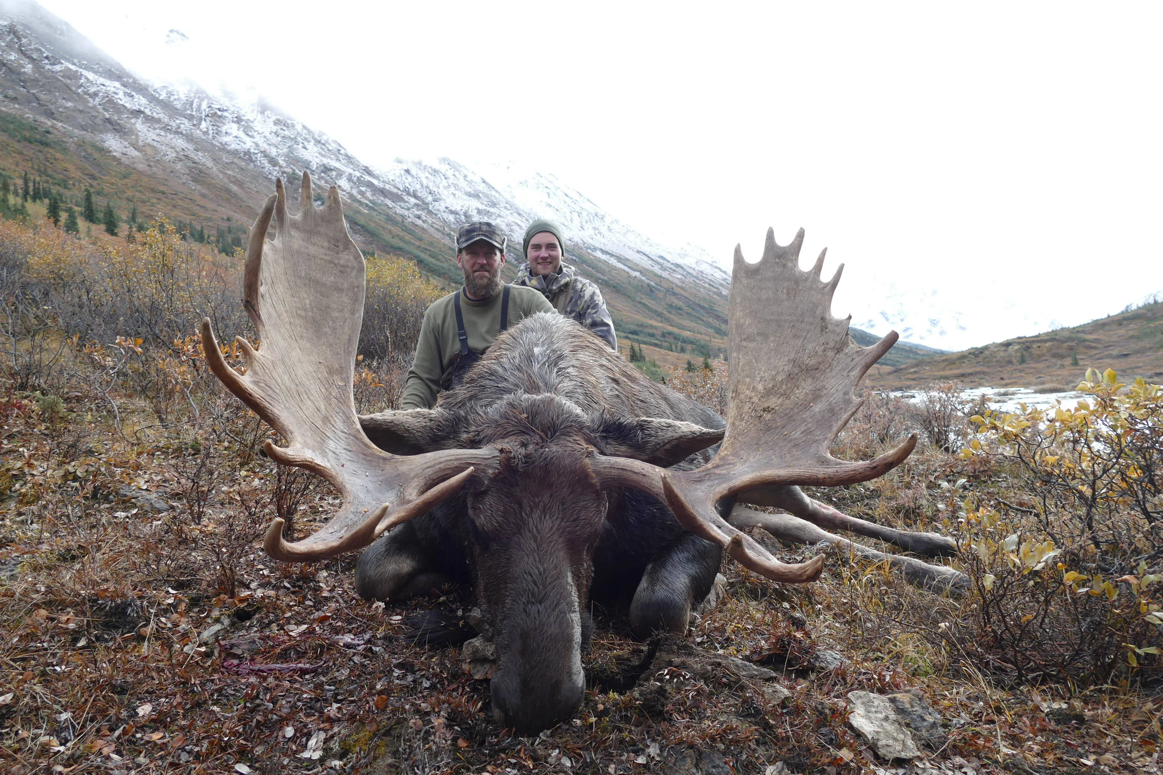 British Columbia Moose Hunt 10148