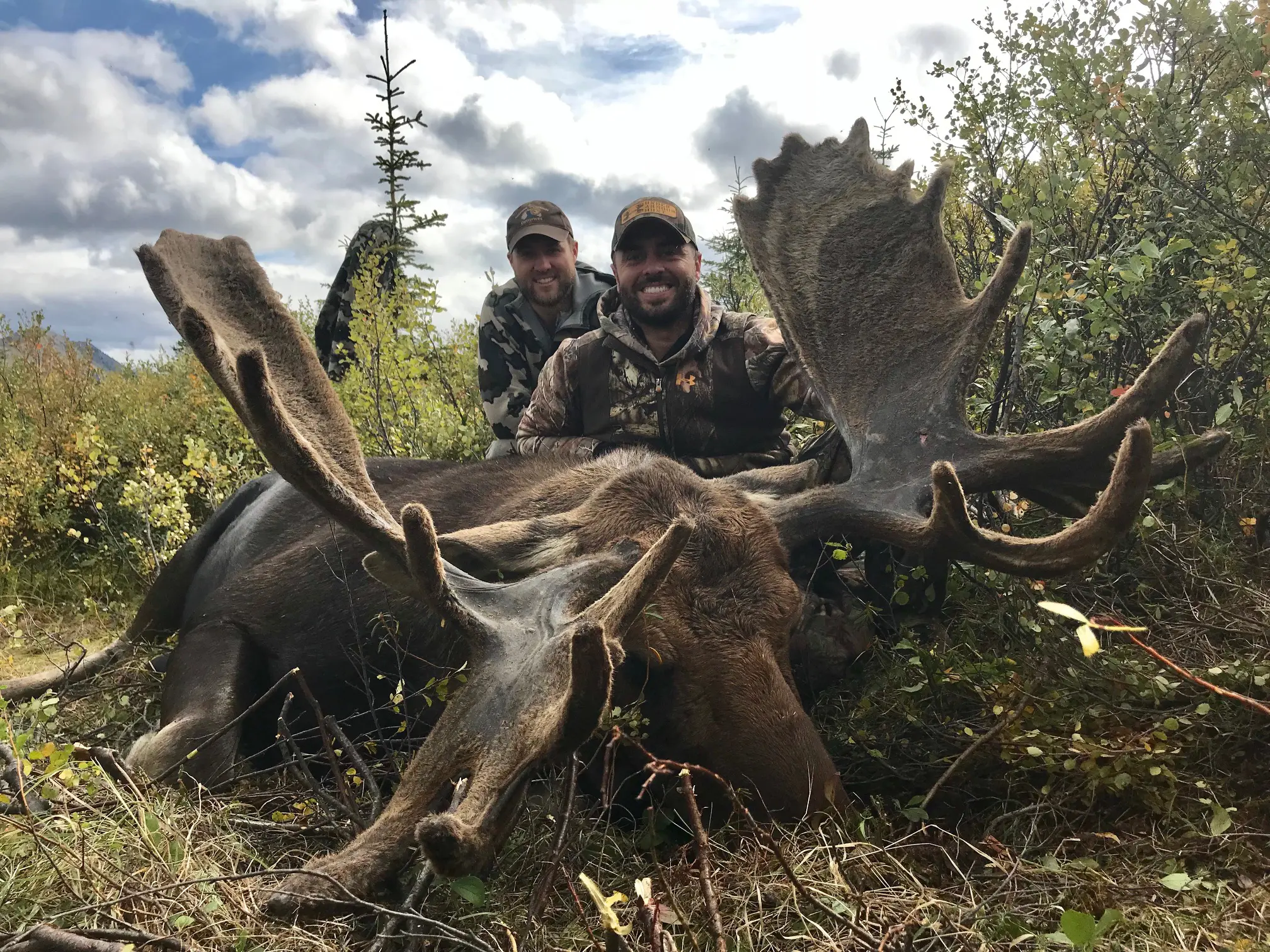 British Columbia Moose Hunt 10148 - Image 3