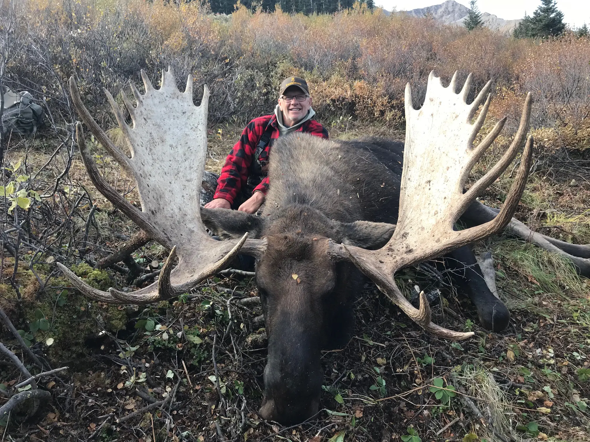 British Columbia Moose Hunt 10148 - Image 4
