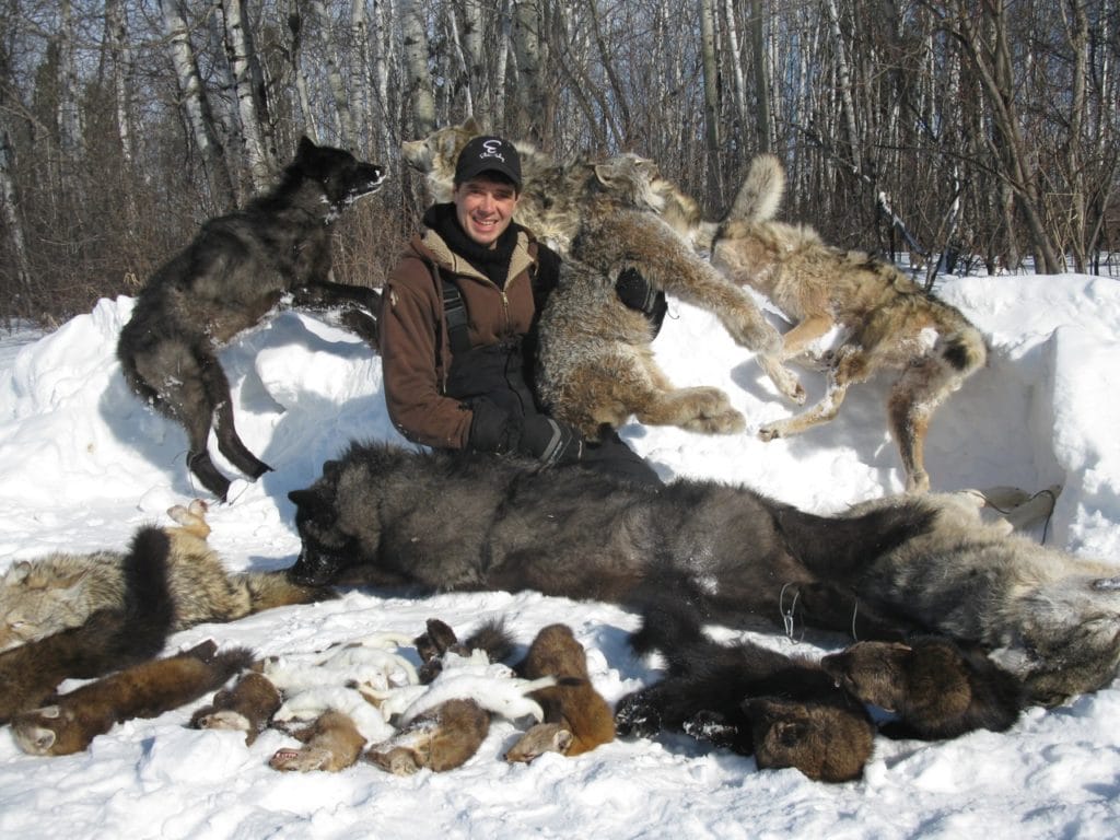 Alberta Wolf Hunt 10156