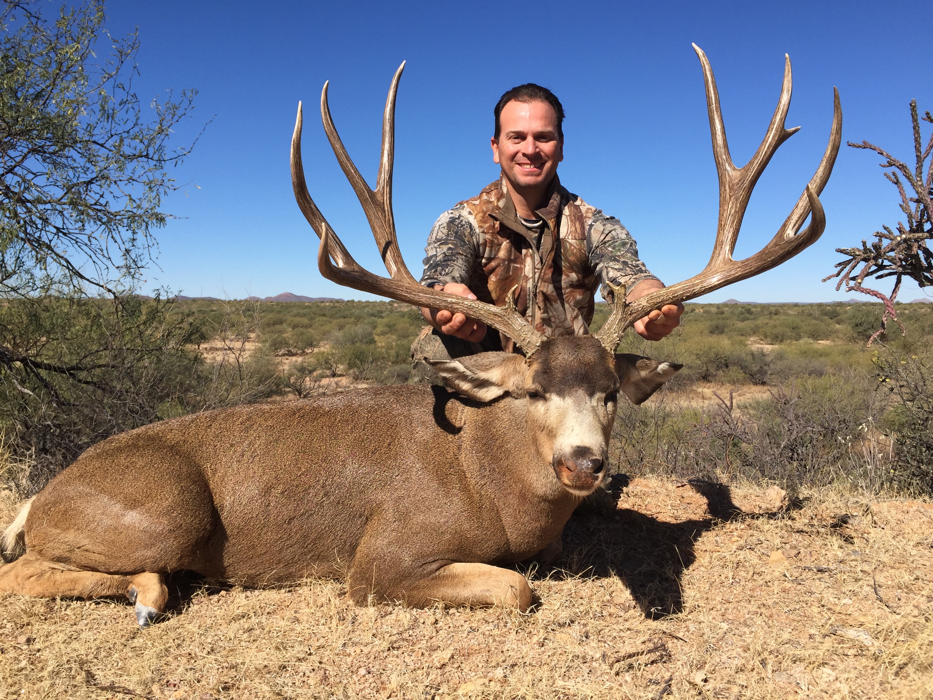 Mule hunt hunts desert