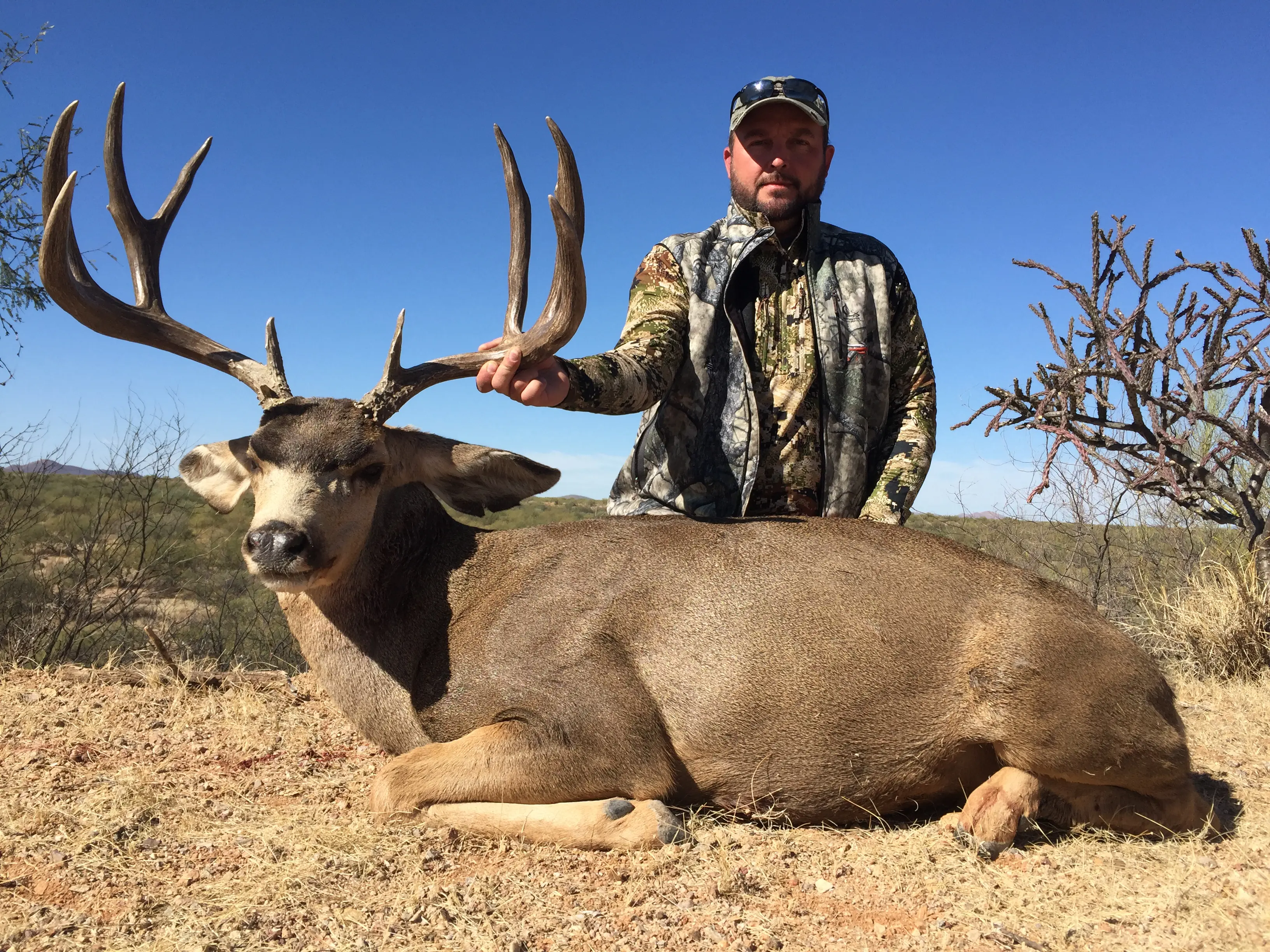 Mexico Mule Deer Hunt 10168 - Image 3