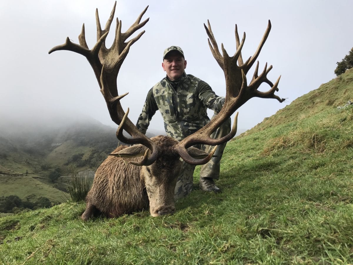New Zealand Red Stag Hunt 10193