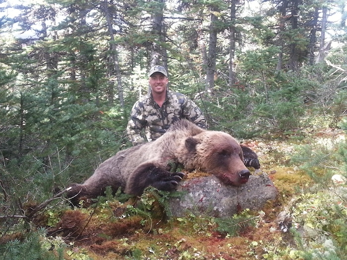 Giant Yukon grizzly bear provides riveting trail-cam moment - Yahoo Sports