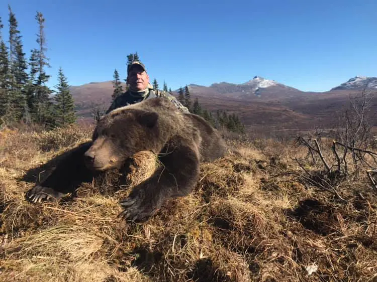 Yukon Spring Grizzly Bear Hunt 10202 - Image 3