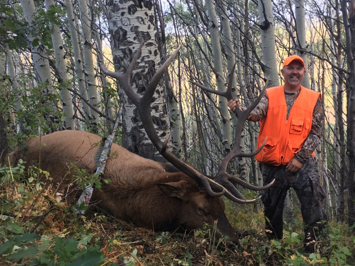 Colorado Elk Hunt 10208