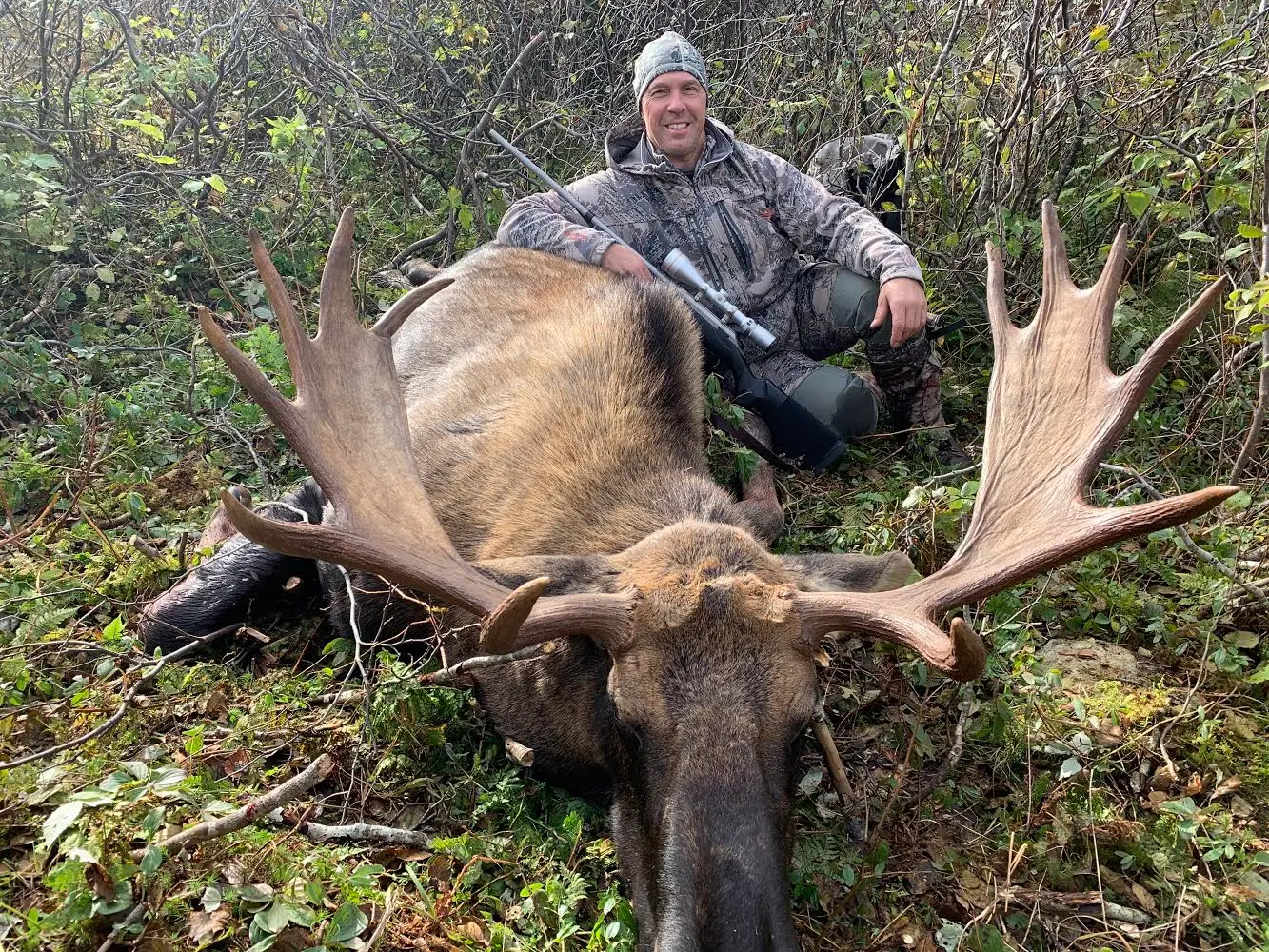 Newfoundland Moose Hunt 10226