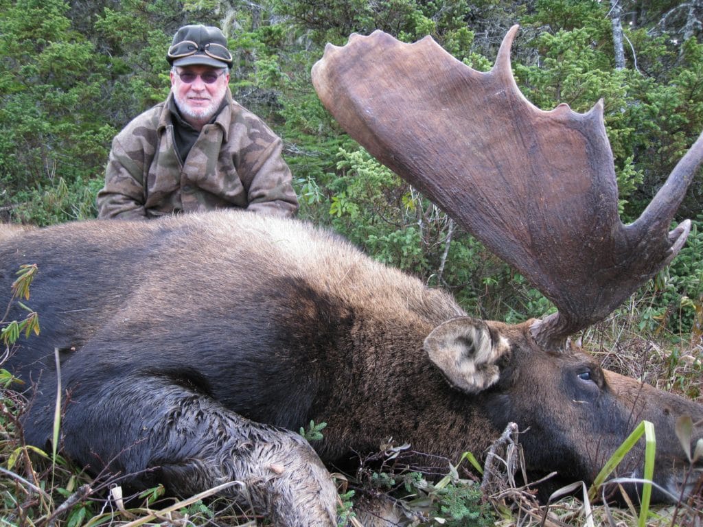 Newfoundland Moose Hunt 10226