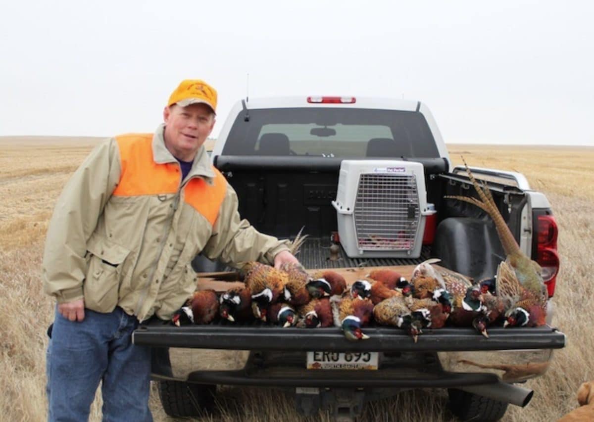 North Dakota Pheasant Hunt 10242