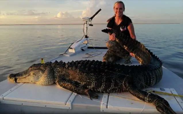 Florida Alligator Hunt 10353 - Image 3
