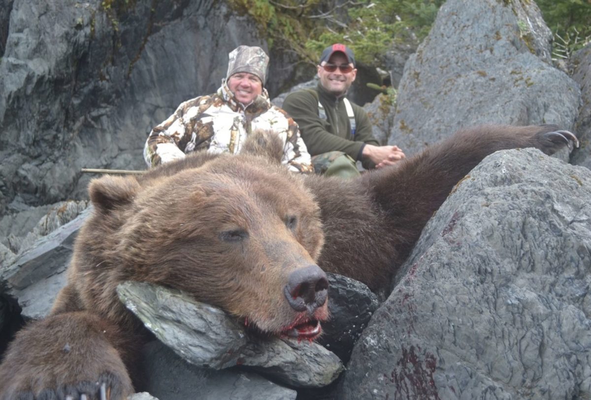 Alaska Brown Bear Hunt 10361