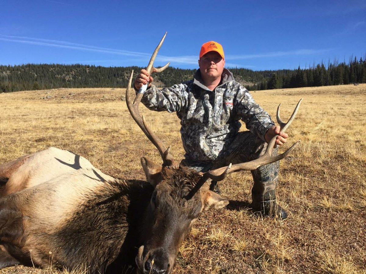 Colorado Elk Hunt 10371