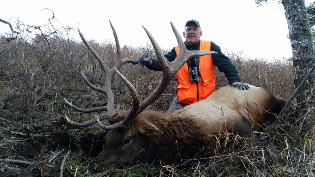 Montana Rifle Elk Hunt 10456