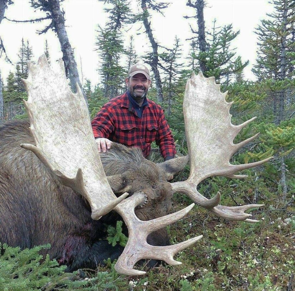 British Columbia Moose Hunt 10536