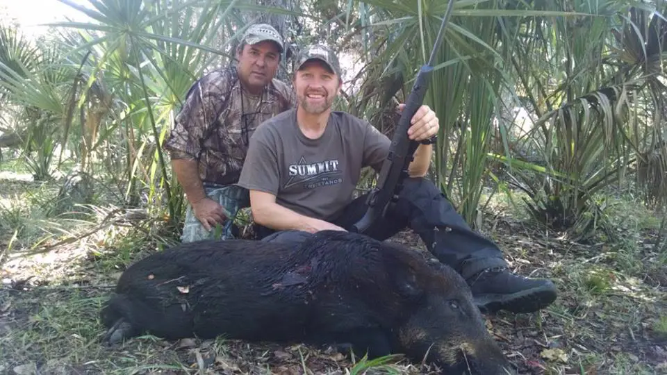 Florida Hog Hunt 10539 - Image 2
