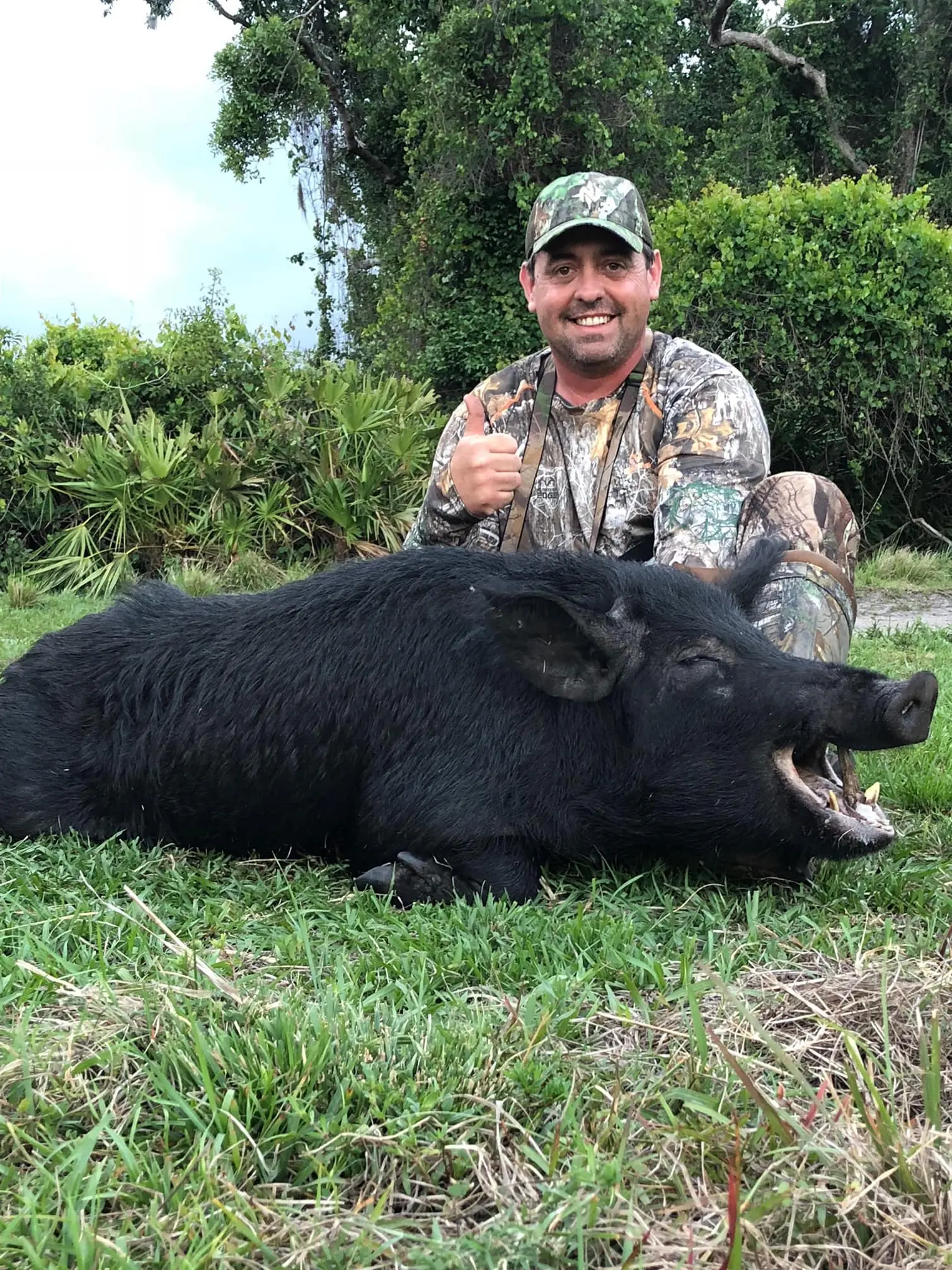 Florida Hog Hunt 10539 - Image 4