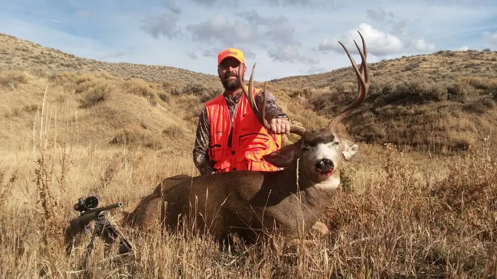 Colorado Mule Deer Hunt 10598