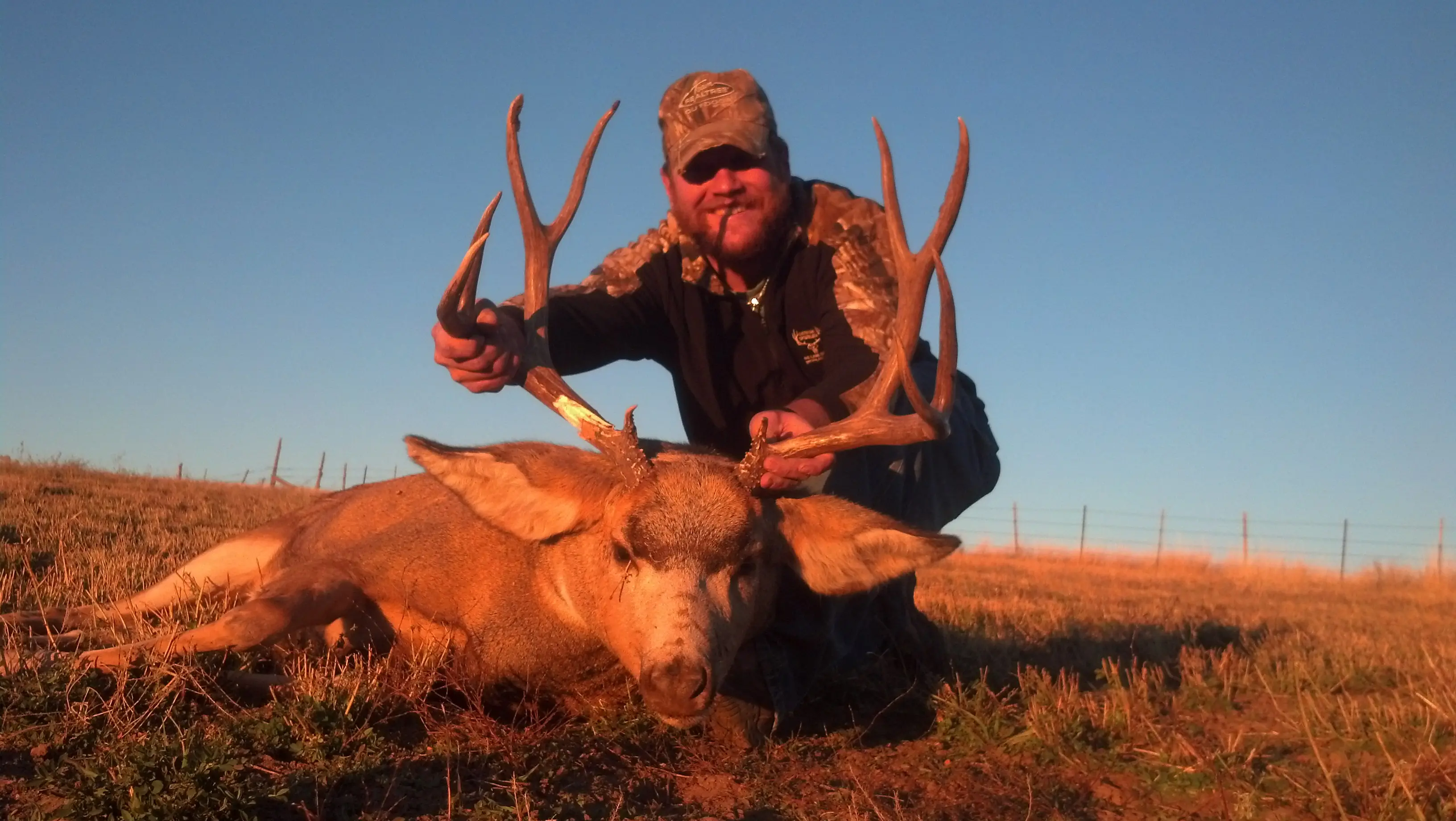 Colorado Mule Deer Hunt 10598 - Image 2