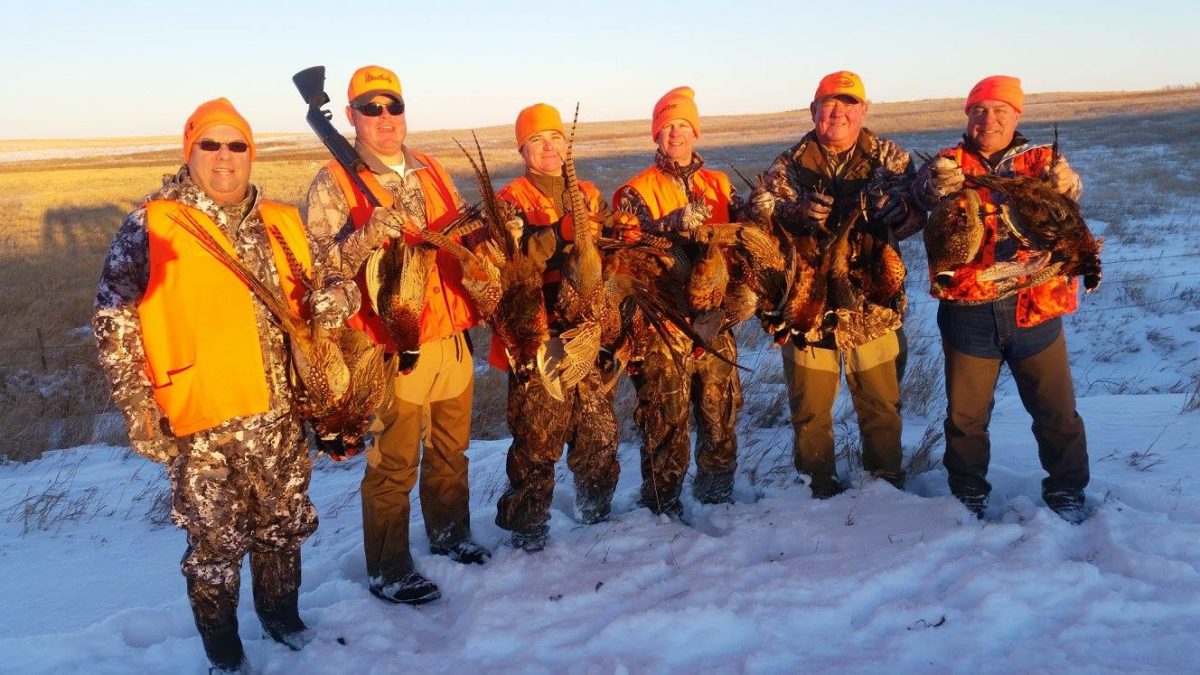 South Dakota Pheasant Hunt 10605
