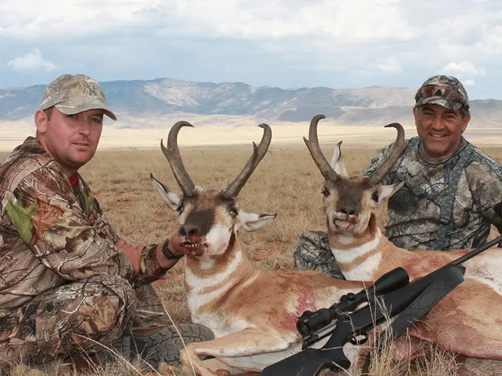New Mexico Pronghorn 10618