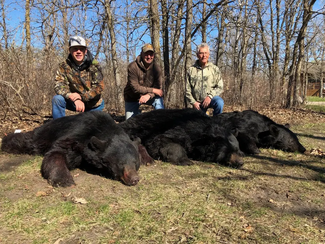 Manitoba Bear Hunt 10642 - Image 2