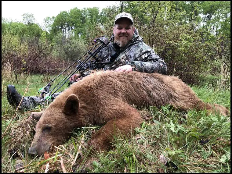 Manitoba Bear Hunt 10642 - Image 4