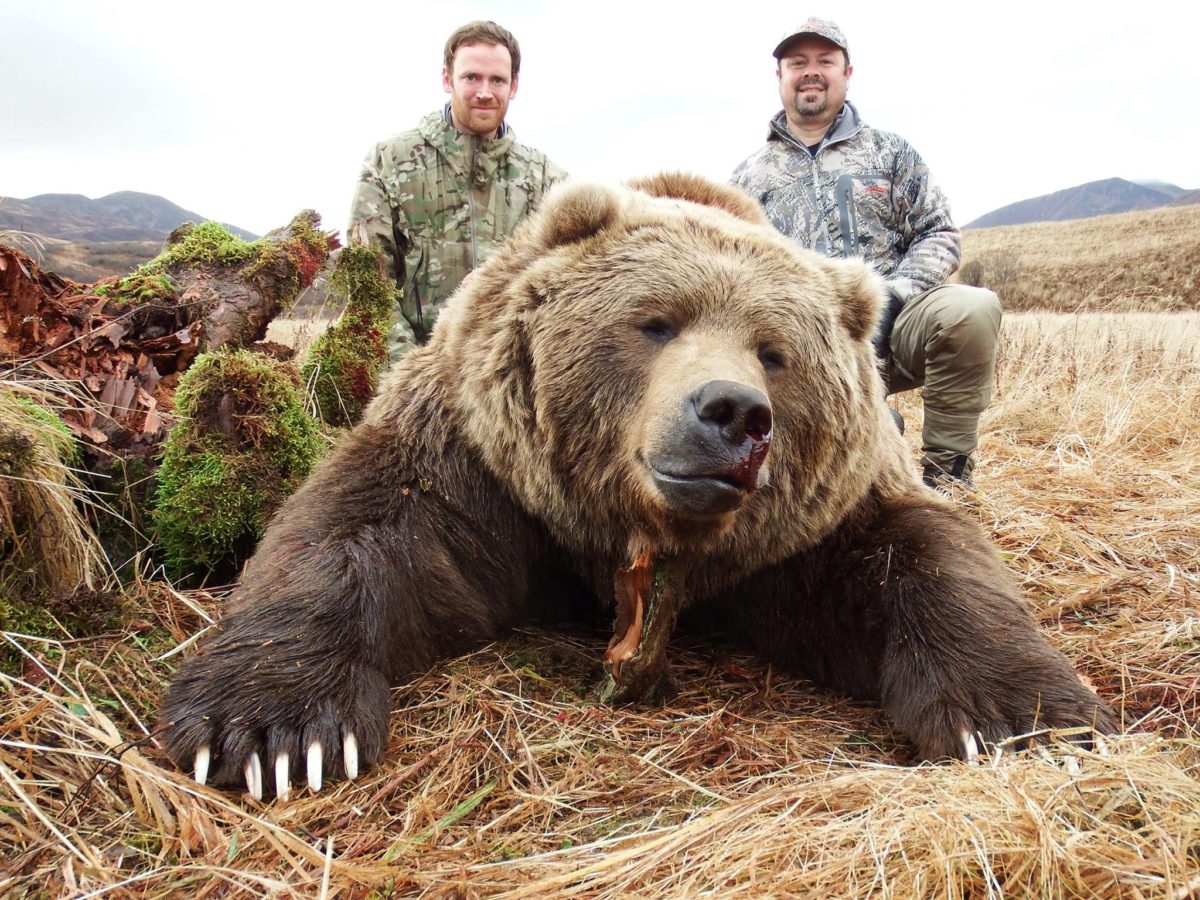 Alaska Brown Bear Hunt 10649
