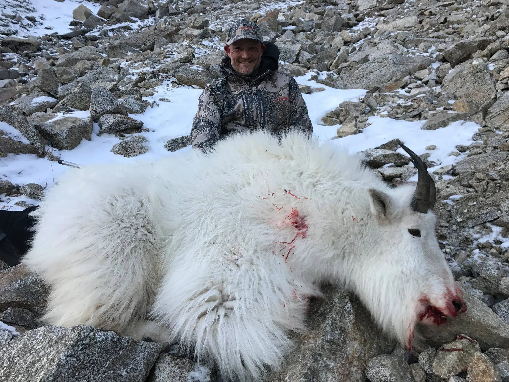 Alaska Mountain Goat Hunt 10650