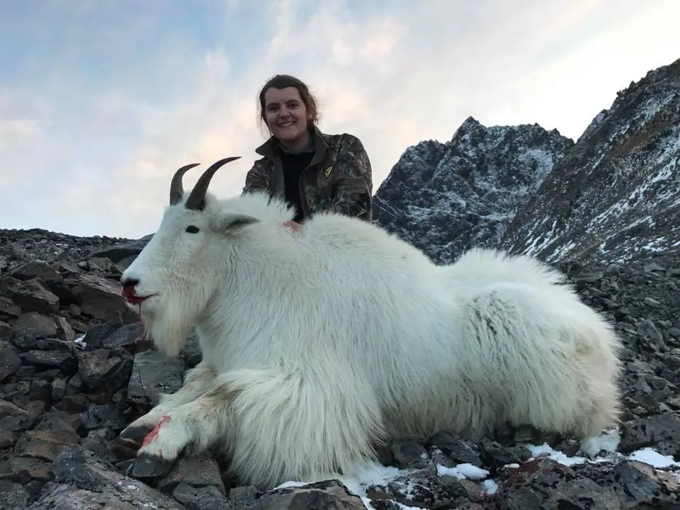 Alaska Mountain Goat Hunt 10650 - Image 2
