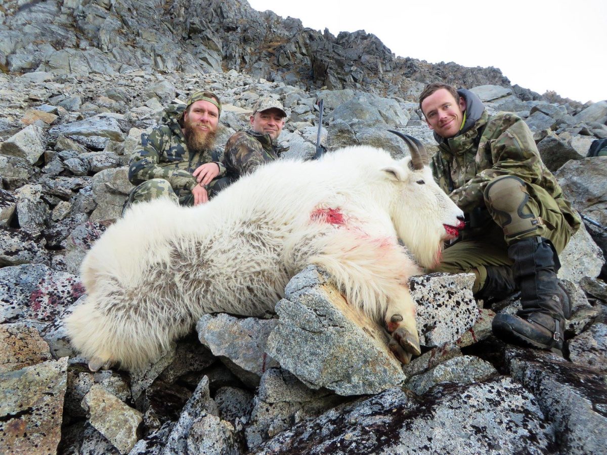 Alaska Mountain Goat Hunt 10650