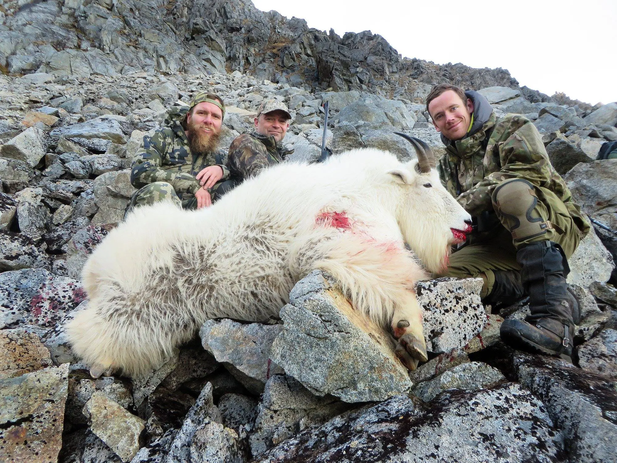 Alaska Mountain Goat Hunt 10650 - Image 4