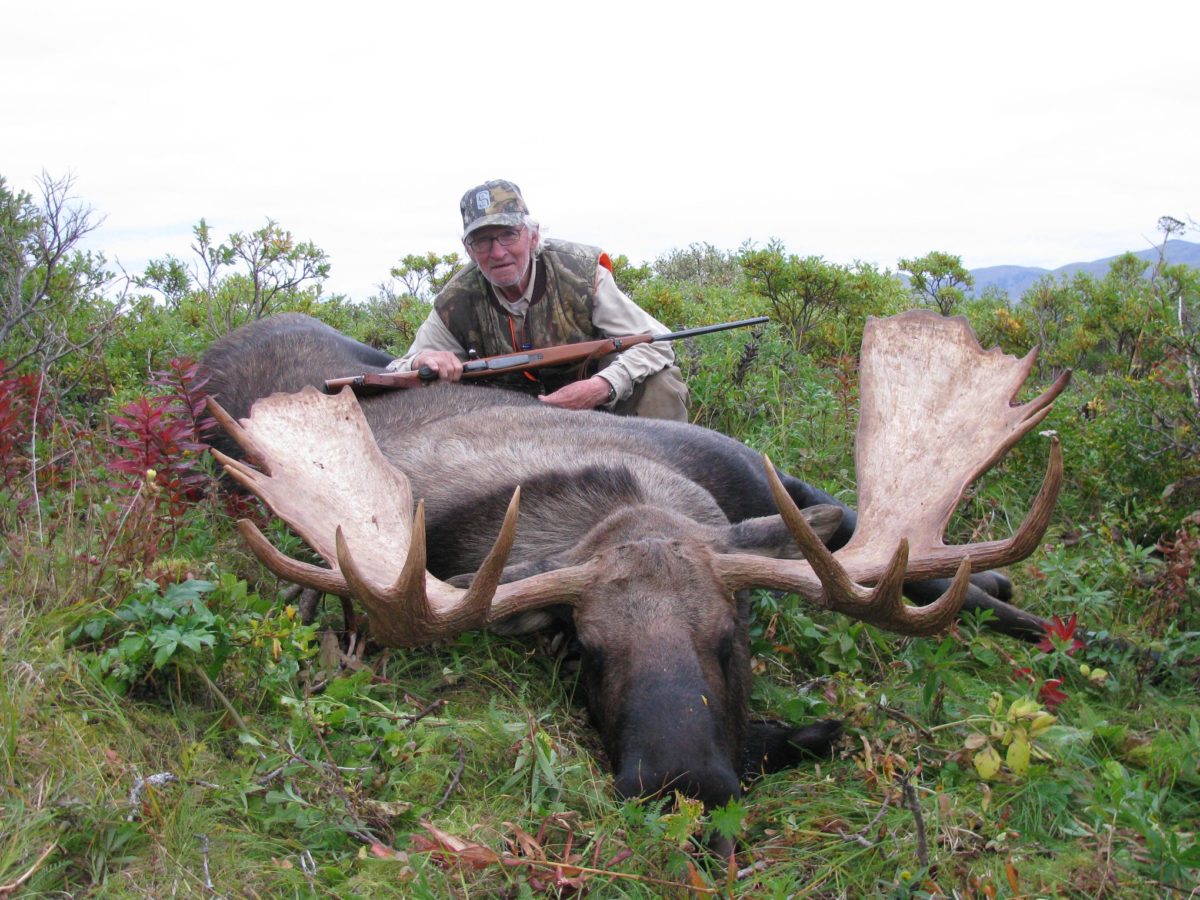 Alaska Moose Hunt 10653