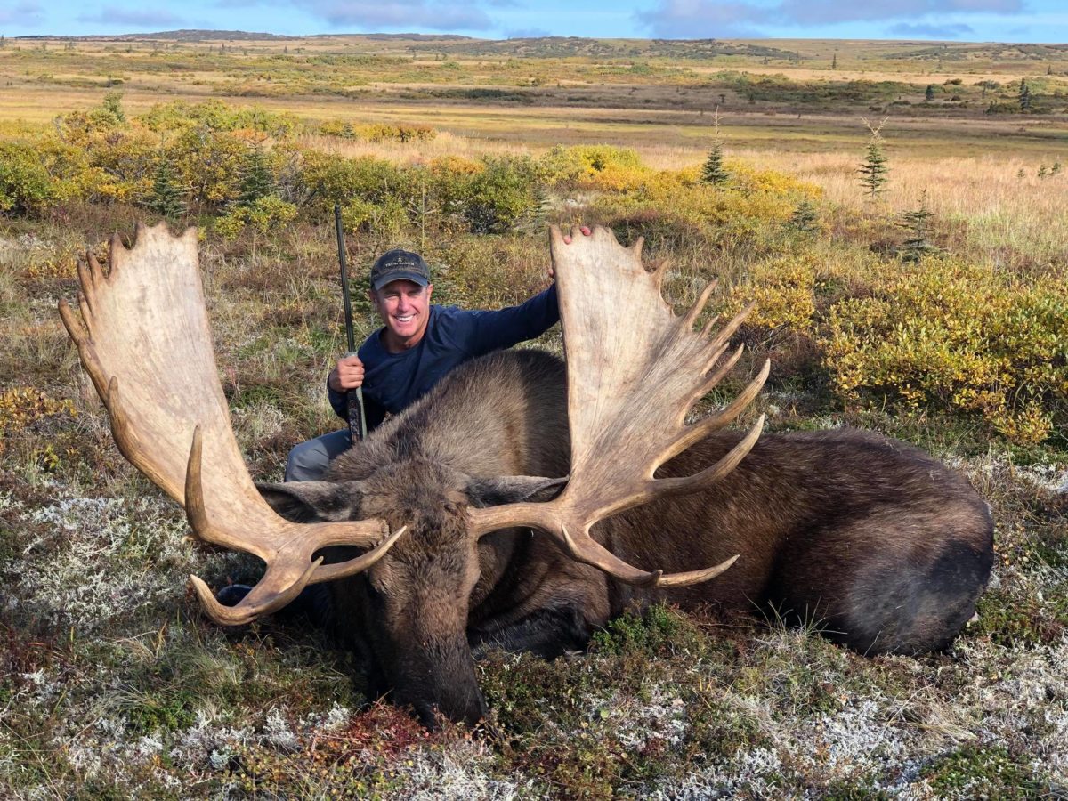 Alaska Moose Hunt 10653
