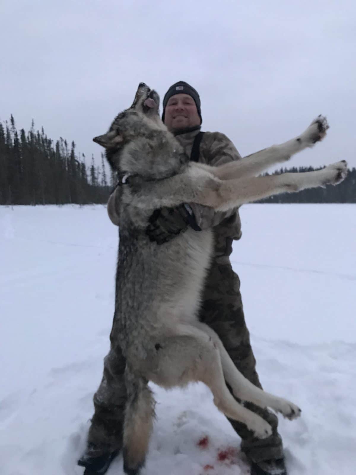 Ontario Wolf Hunt 10534