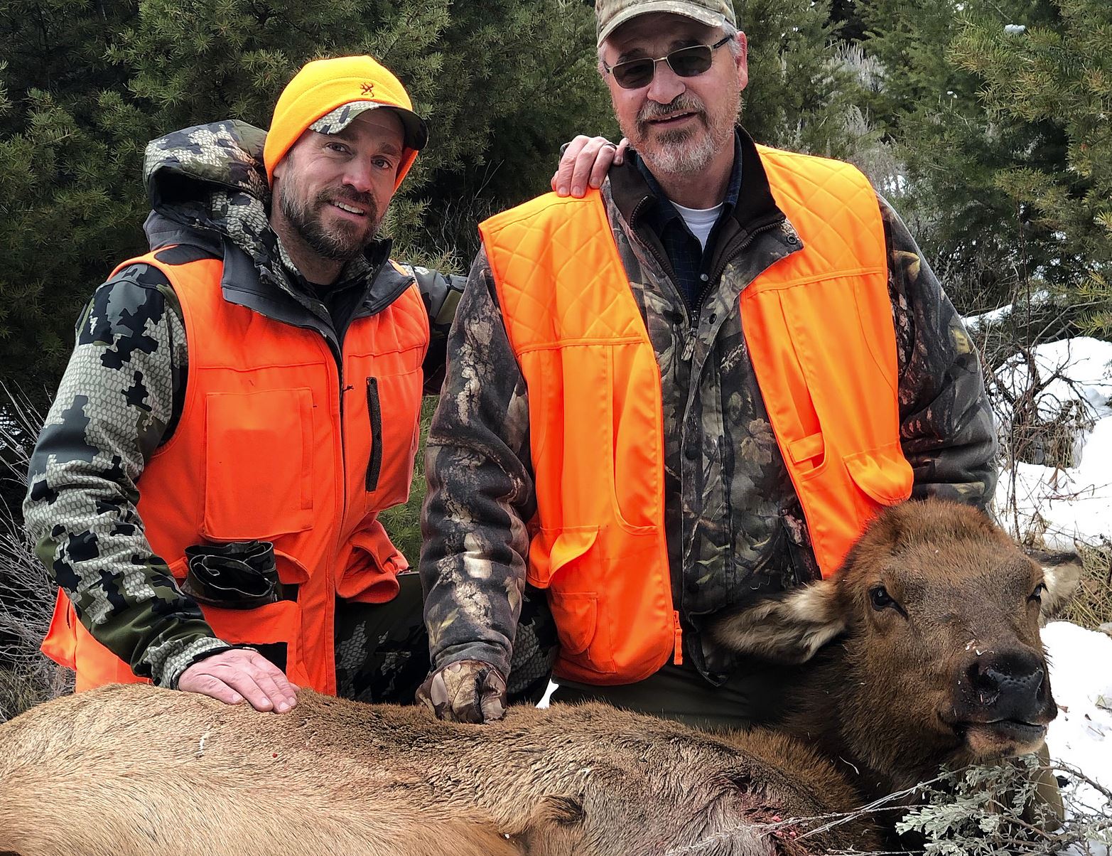 Featured World Class Ranch, Montana Cow Elk Hunt