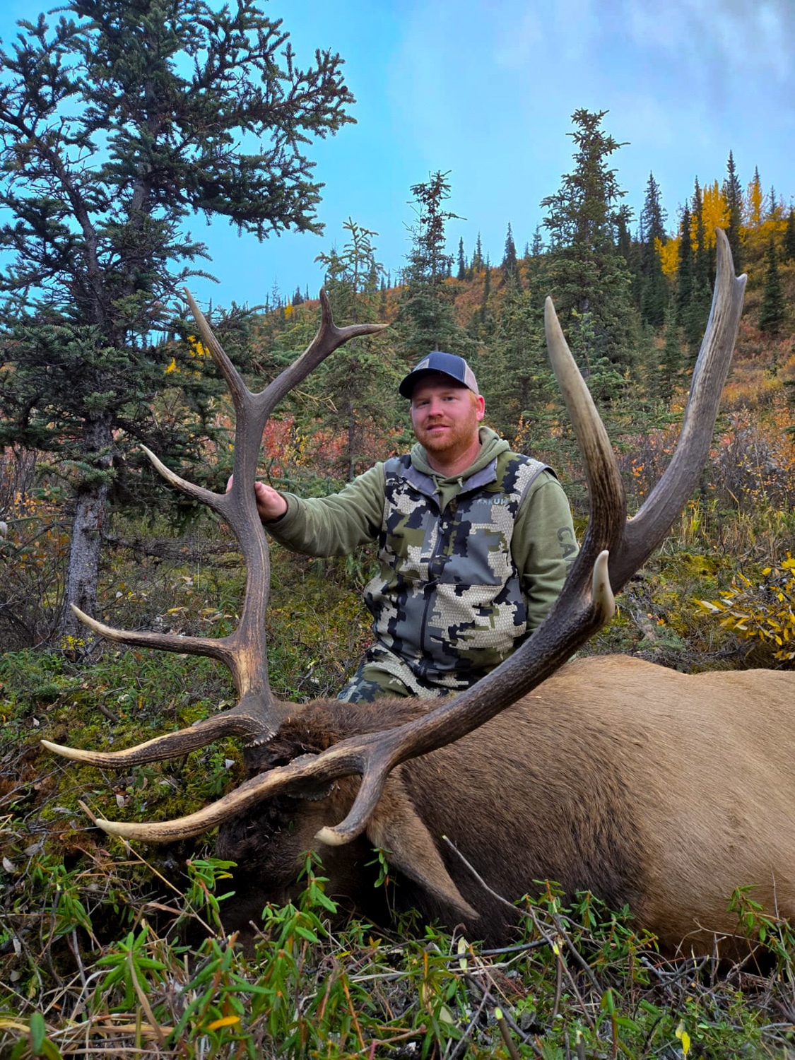 British Columbia Elk Hunt 10710 - Image 4
