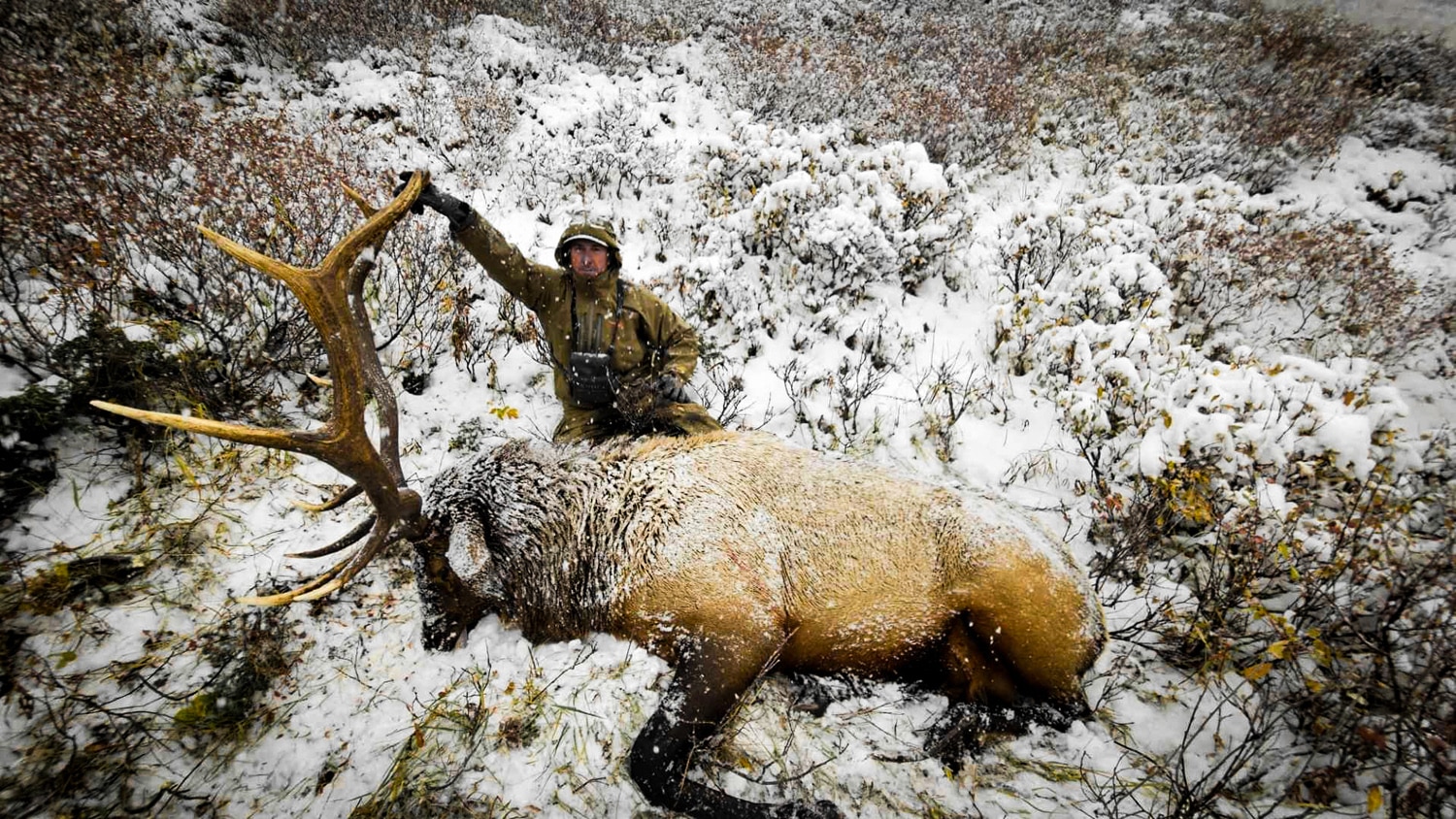 British Columbia Elk Hunt 10710 - Image 2