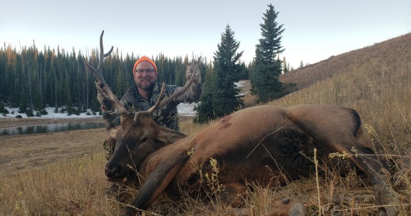 Colorado Rifle Elk