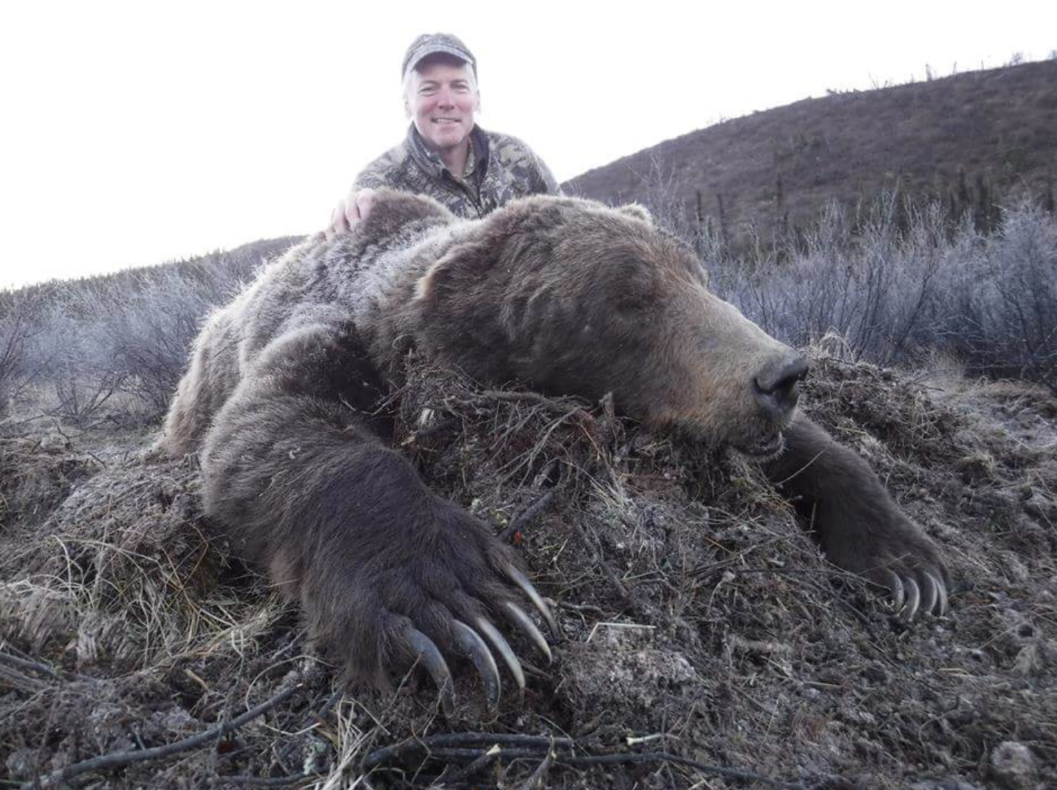 Yukon Fall Grizzly Bear Hunt 10204