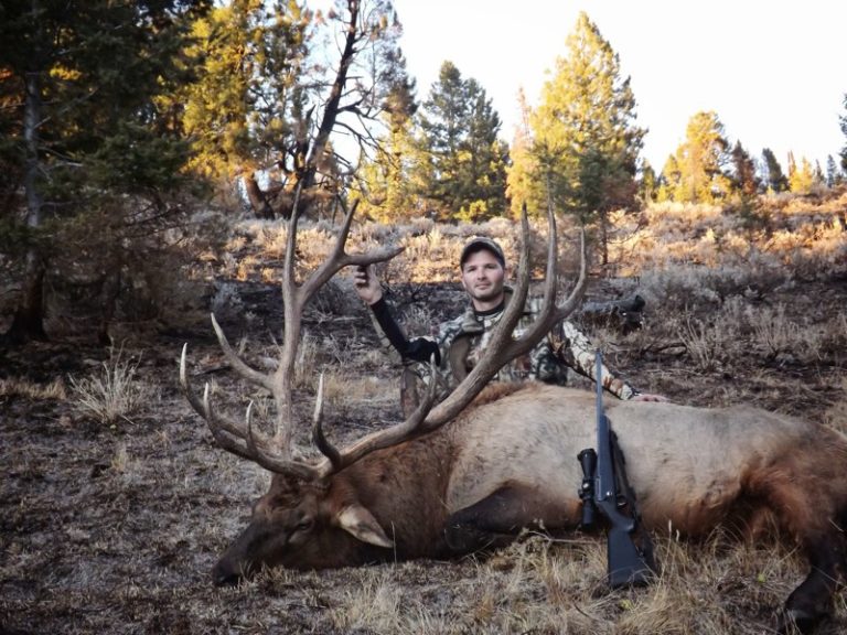 Just in! Idaho Elk Hunts for 21 and 22…