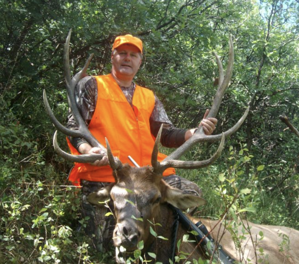 Colorado Cow Elk Hunt 10436