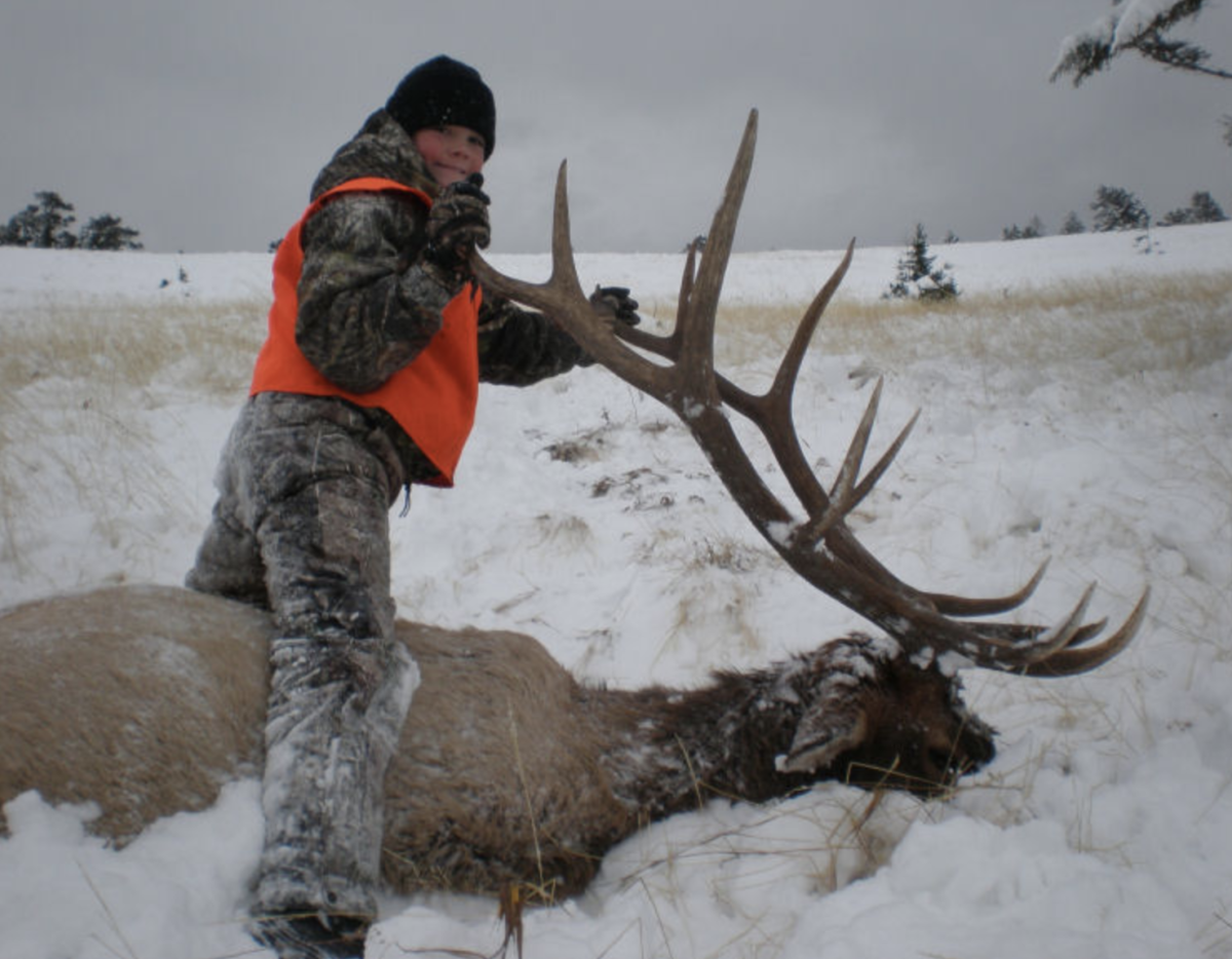 Montana Elk Hunt 10678