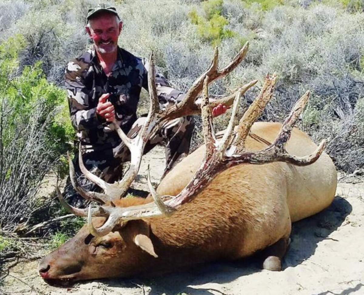 California Tule Elk Hunt 10732